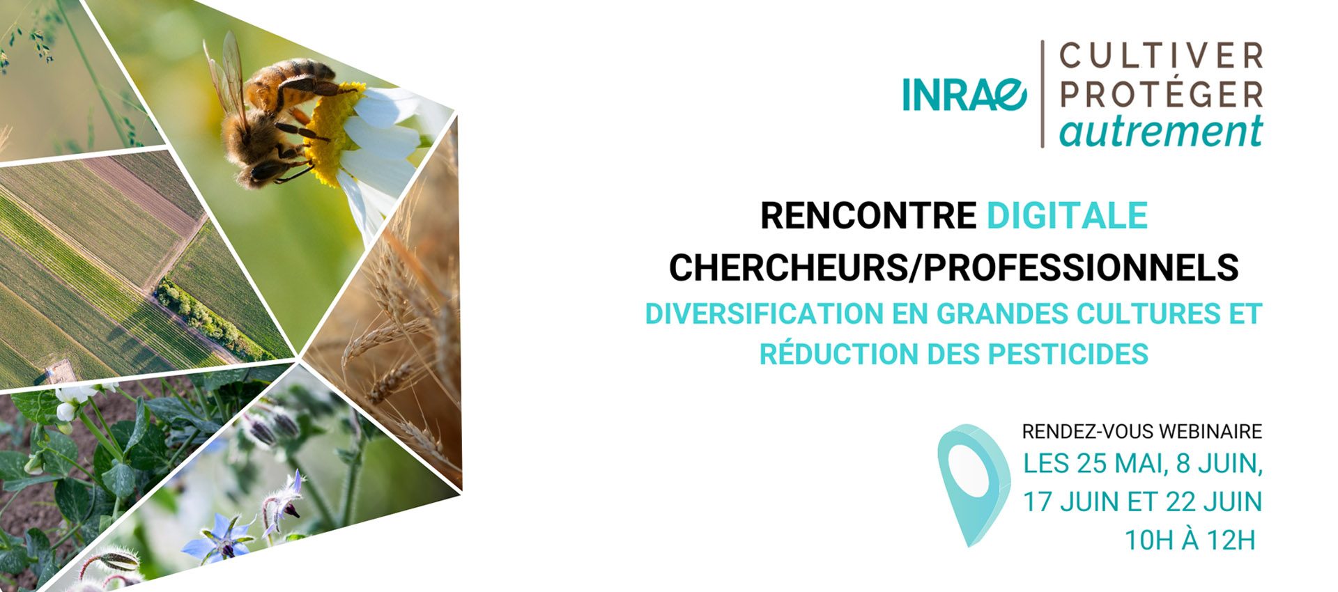 inrae webinaires
