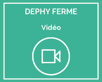 vidéos